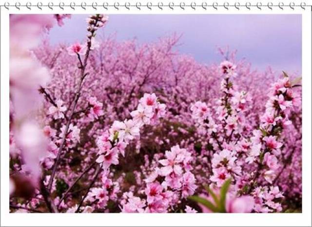 春暖花开-米兰国际旅行社严选线路、大咖主播