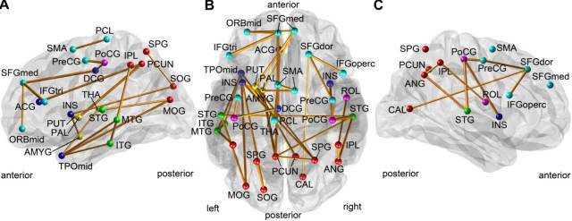 1,解剖連接(anatomical connections)是解剖結構層面上的連接