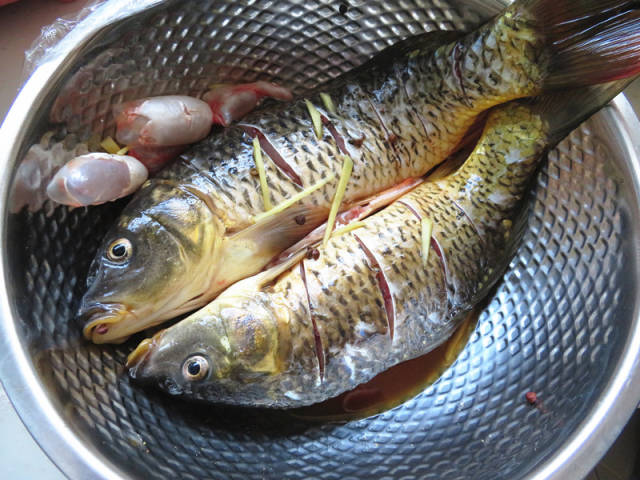 鲤鱼2条,肥肉4片,香菜3棵,花生油20克,葱1段,姜1块,蒜6瓣,盐3克,料酒2