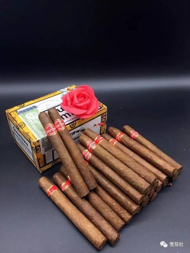 quintero雪茄图片