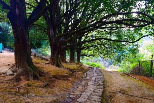 古道斜阳霞满天 在和顺,有种临风独立,叫和顺图书馆