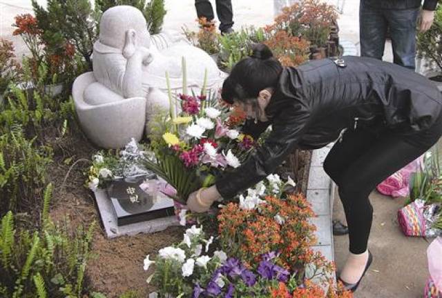 惠安县万安陵园招募志愿者