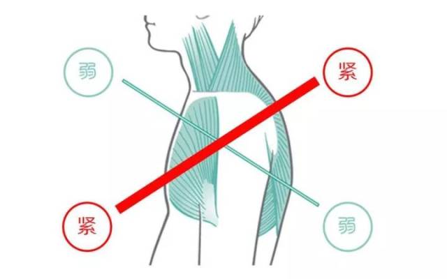 應該正常合理地分配各部位訓練 前後肌力平衡,自然就不會出現圓肩