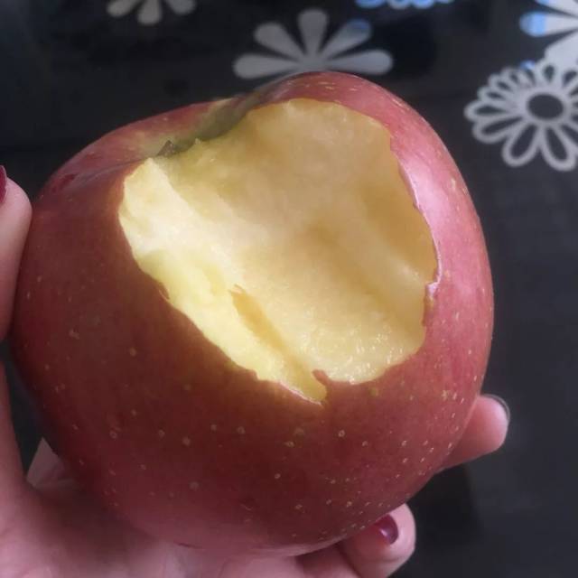 这里的苹果从小就套在塑料袋里