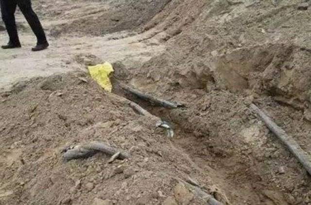 只为平整土地 驾驶挖掘机挖断军用光缆:最终被判8个月
