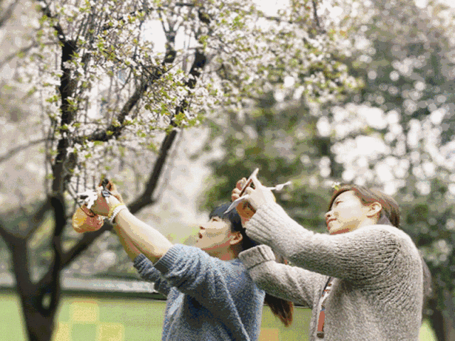 640_480gif 动态图 动图