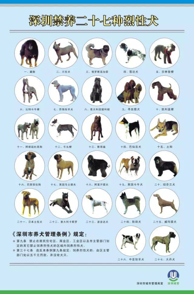 串串也不能串烈性犬