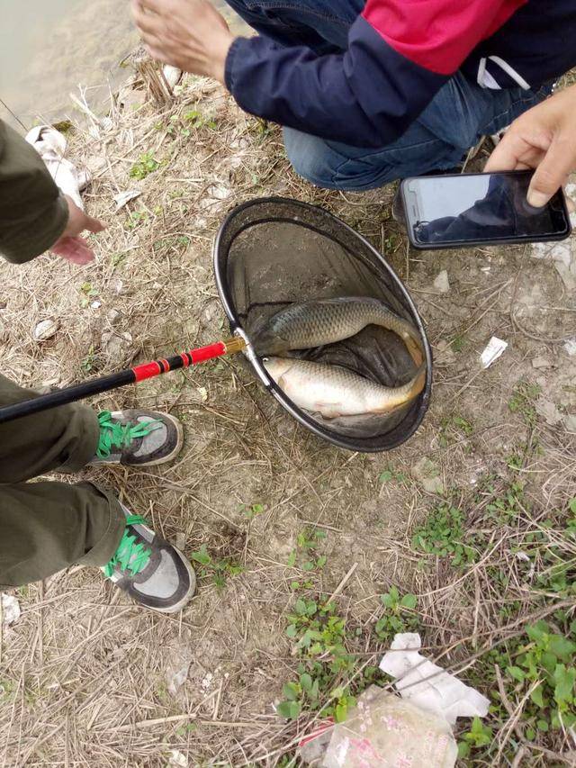 春暖花开和朋友一起去钓鱼,农村小河里的鱼真多,提不动了