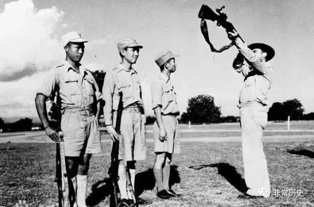 国民党五大王牌主力是如何成长壮大起来的?