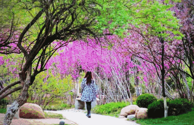640_411gif 动态图 动图
