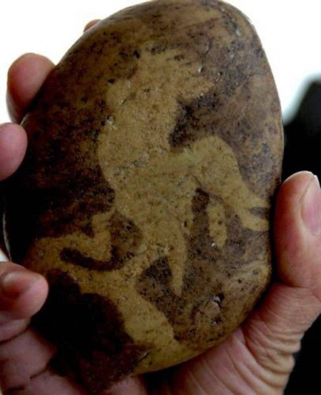 兰州发现罕见雄鸡奇石,栩栩如生,唯妙唯肖!