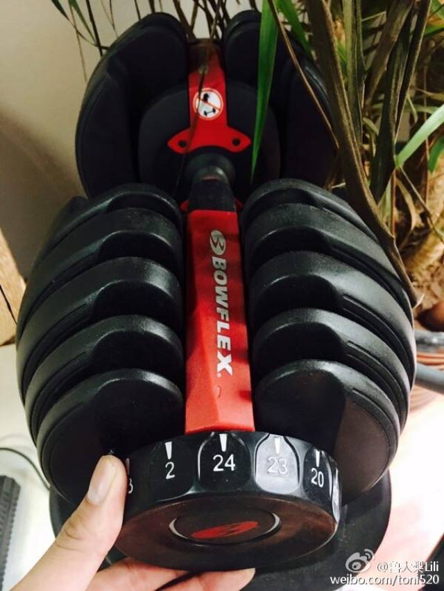 初学者哑铃训练方法?搏飞哑铃臂部塑形训练方式