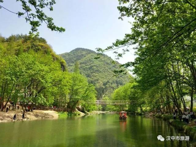 漢中龍灣那片油菜花海春意正濃.