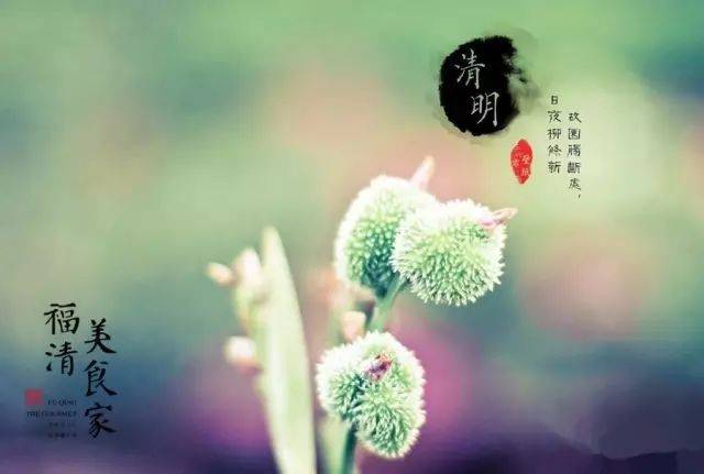 清明节合适看风水吗