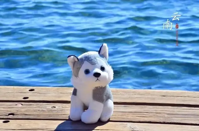 一个人,在路上,去云南,火车声轰隆隆