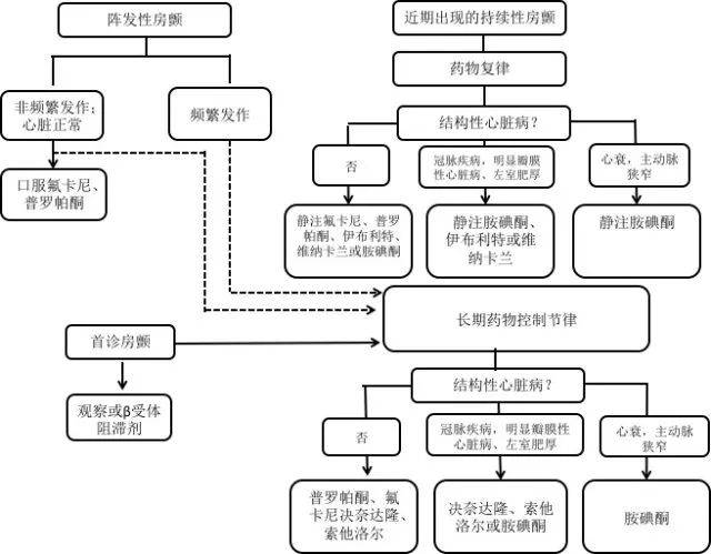 2018 年欧洲抗心律失常药物使用共识