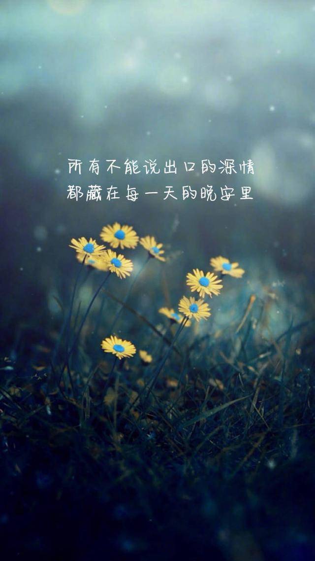 总会有那么一天,我会放下期待,过着没有你的生活