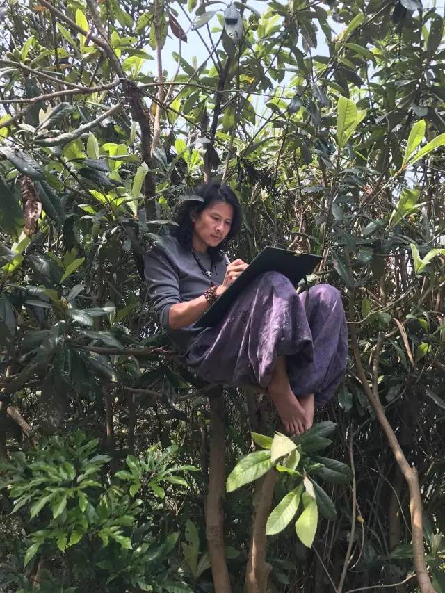 画行者郑泰均画界的自在行者