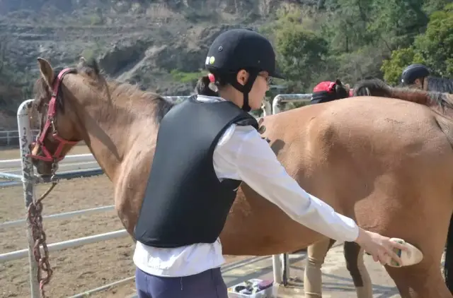 教练指导运动员备马 claire rapin教练对运动员进行专业马术动作讲解