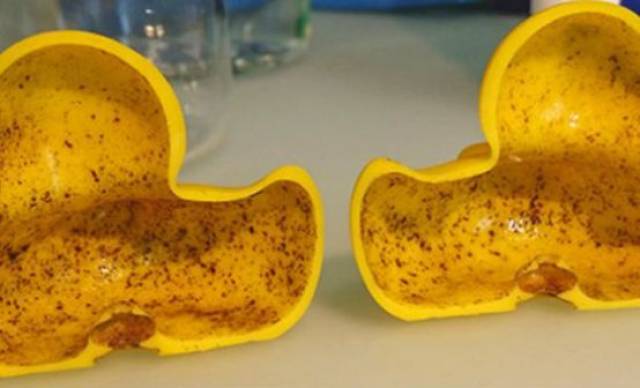 新西兰宝宝洗澡必备的这个玩具,竟成霉菌重灾区!宝宝还爱咬它!