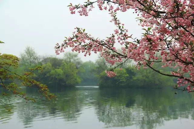 重重簾幕寒猶在,憑誰寄,銀字泥緘. 報道先生歸也,杏花春雨江南.