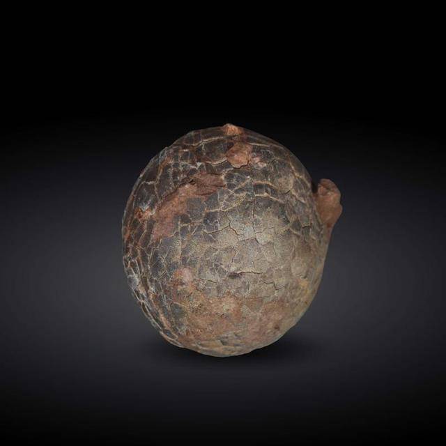 2018伯明翰春拍雅物珍藏之恐龙蛋化石