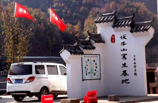 【关注】嵩县的手绘小镇!相约嵩县三合村,追寻乡土记忆!_手机搜狐网
