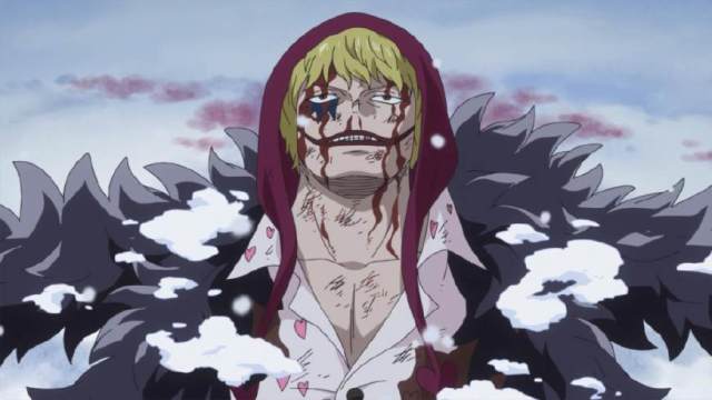 柯拉松死了也有很多年了,但静寂果实并没有像燃烧果实,震震果实那样