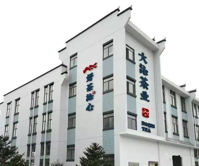 大沁白茶 | 好茶沁心,相约宁波