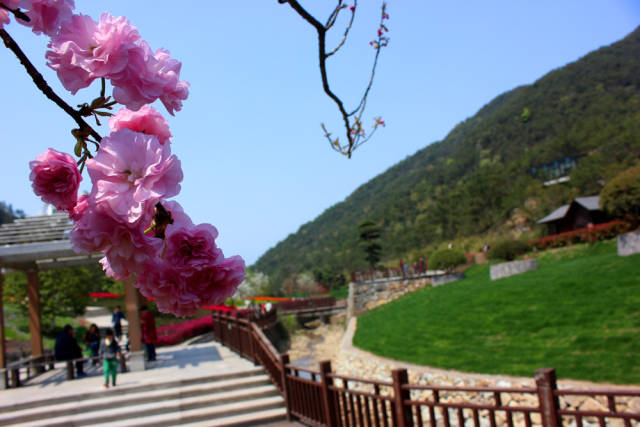 花花世界,宁波赏樱地之十 :南苑花博园,繁花如梦