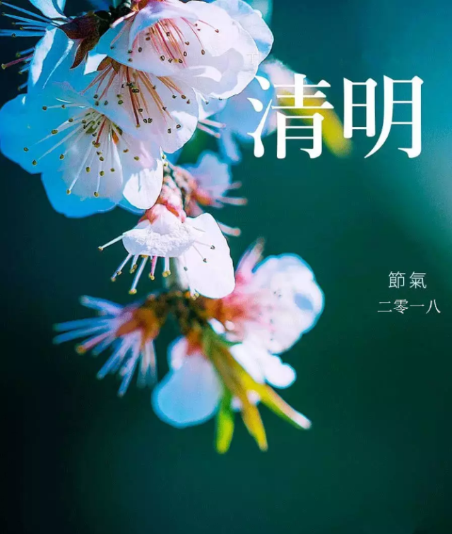 清明节是中国最重要的传统节日之一.