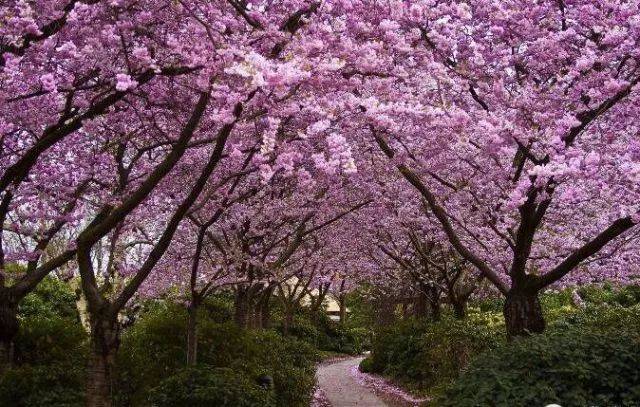 淮安18条最有情调的小路,你去过几条?