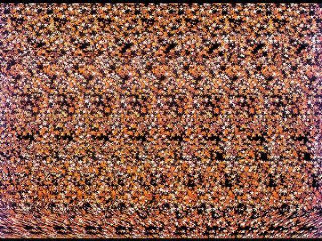 一组最神奇的画中画只有大脑发达的人才能看出来你能看出几个