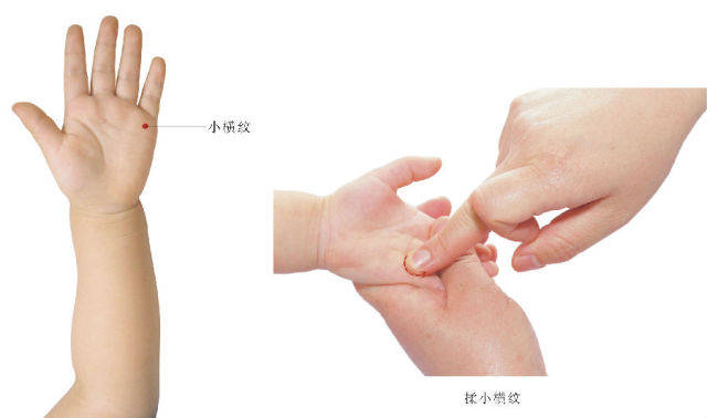 十四,小横纹(南派又称掌小横纹)