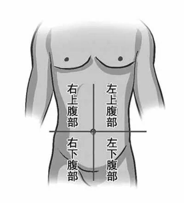 小腹在什么位置图片