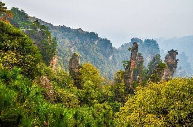 中国三大原始森林图片
