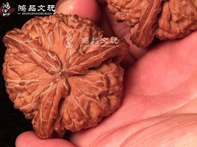 这对三棱正奔文玩核桃，值得玩一辈子了_搜狐网