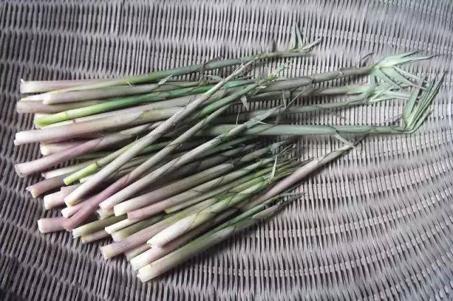 为春季最早自然生长的笋(垄糠下的象牙笋除外).