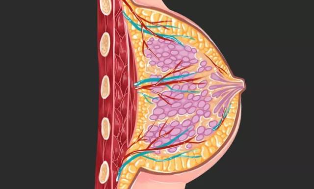 每当乳腺管发生了"交通堵塞,乳汁排出不畅时,就会发生奶结,也就是