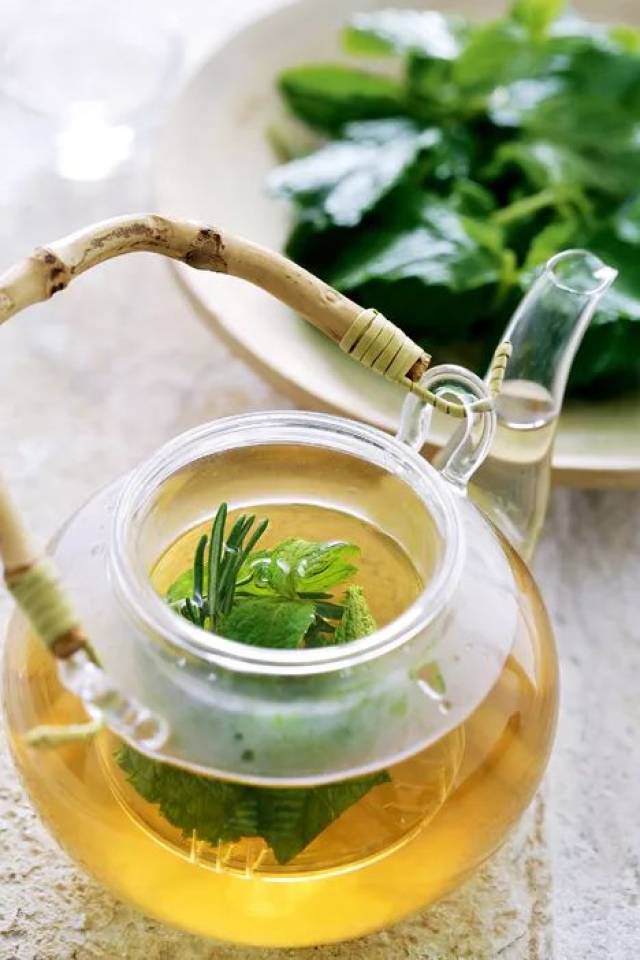 对薄荷上瘾是种什么样的体验