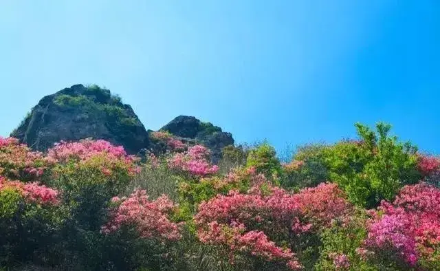 三公山,系安徽省芜湖市的最高峰