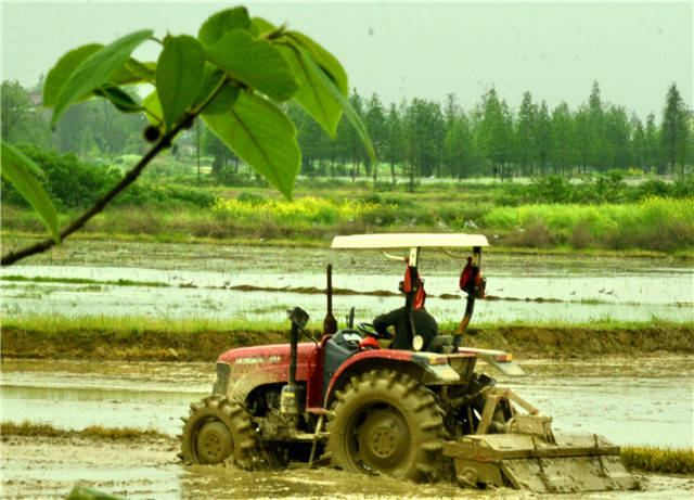 湖南赫山区农民耕种忙
