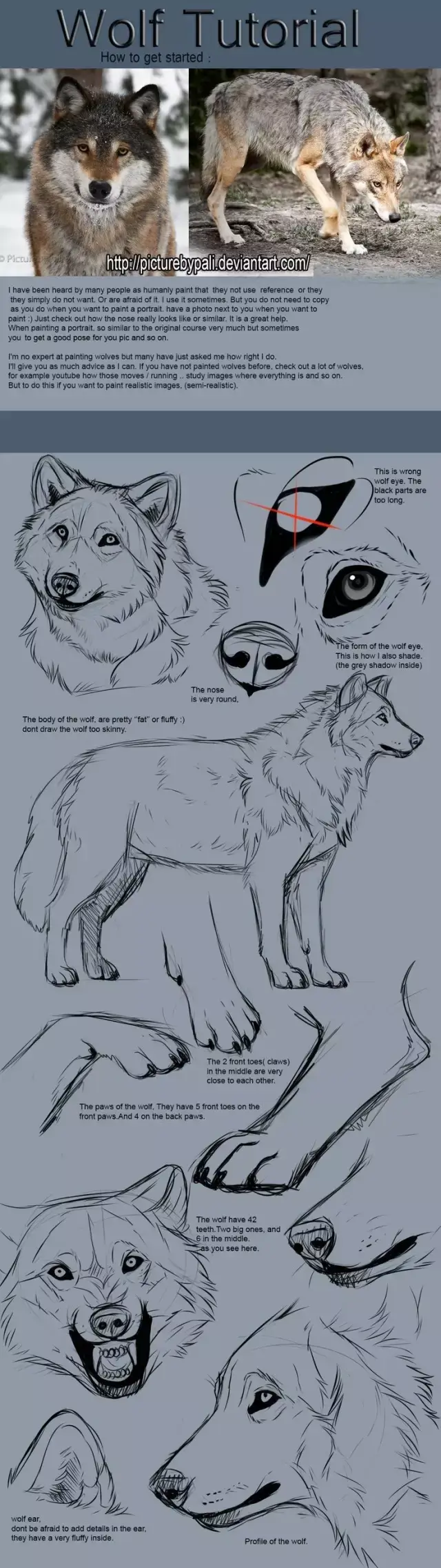 怎样画一只霸气的狼图片