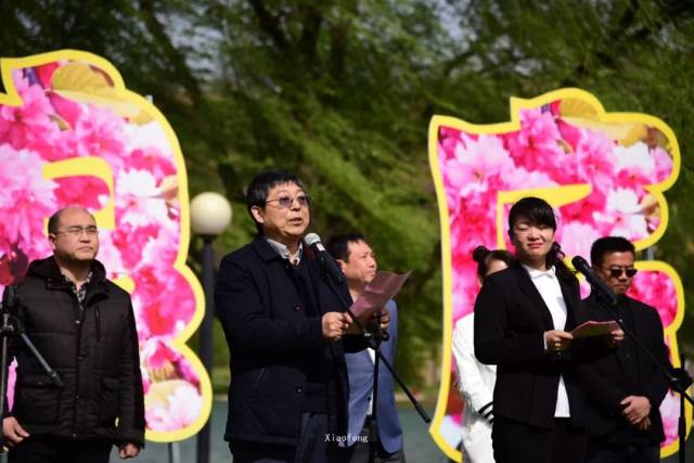 2018小浪底樱花节今日开幕!