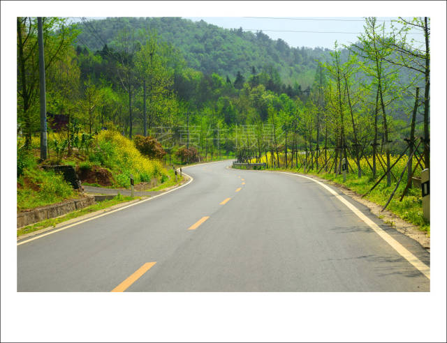 京山杨集公路:一条通往春天最美的乡村公路