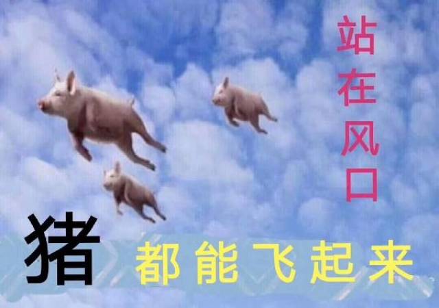 猪站在风口都能飞起来