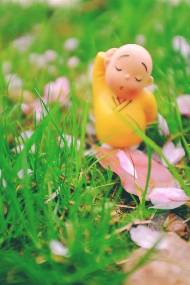 小沙弥带你瞧一瞧!