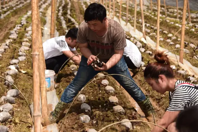 年轻人种地,年轻人,种地(第11页)_大山谷图库