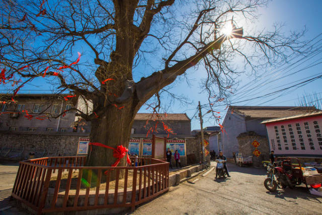 吃在昌平 品尝《舌尖3》里的康陵正德春饼宴