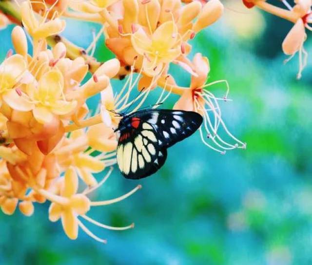 超划算!广州这9个适合学生党穷游的地方,既便